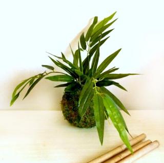 kokedama s umělou květinou - bambus bez provázku, s podložkou na postavení