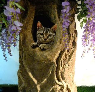 Strom pro kočky  180cm  -  vistarie  (40 druhů listů)