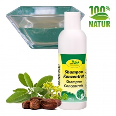 Čajovníkový šampon koncentrát 200ml (cdVe)t