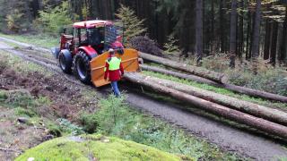 Těžba a přibližování dřeva