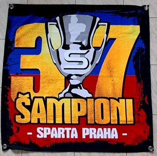 Vlajka - Šampioni 37 (90*90cm)