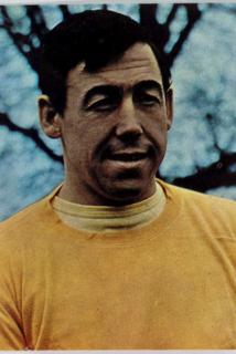 Kartička fotbal, Master Safety, Gordon Banks