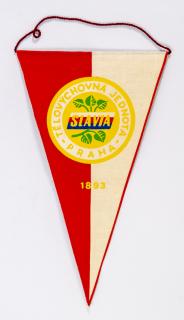 Klubová TJ Slavia Praha, 1893