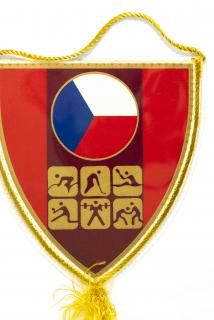 Klubová vlajka Dukla Trenčín, ASVŠ