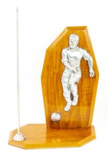 Pohár - trofej, Fotbalista na dřevěném podstavci