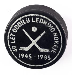 Puk 40 let oddílu ledního hokeje, Litvínov