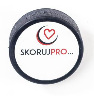 Puk HC Mountfield, Skóruj pro...