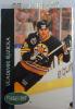 Vladimír Růžička Boston Bruins 1993  hokejová kartička