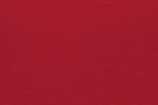 Výcviková vesta letní / různé barvy/ Barva: červená, Velikost: XXL
