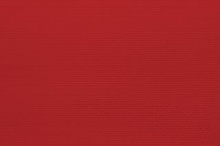 Výcviková vesta s kapucí / RŮZNÉ BARVY/ Barva: červená, Velikost: XL