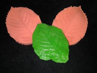Silikonová formička žilkovač  list růže 4011