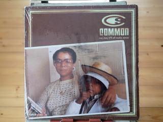 Common ‎– One Day It'll All Make Sense 2LP