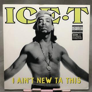 Ice-T ‎– I Ain't New Ta This 12