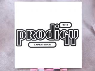 Prodigy, The ‎– Experience