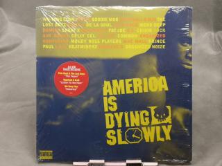 Various Artists ‎– America Is Dying Slowly 2LP