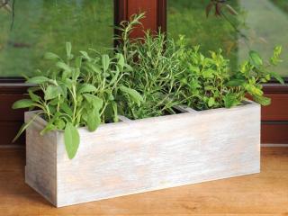 Dřevěný box na bylinky