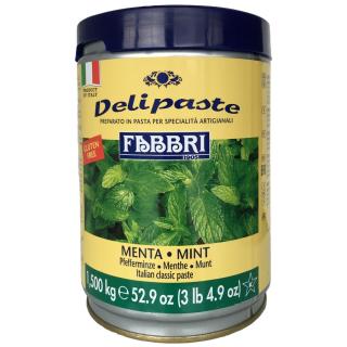 MÁTA ochucovací pasta - Fabbri 1905 S.p.A., Itálie