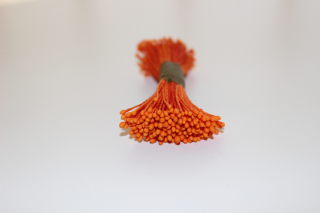 Oranžové floristické pestíky P15 - EU