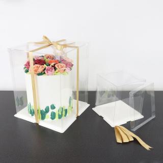 Vysoká průhledná krabice 25x25x28cm CCB10