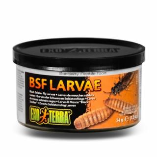 Exo Terra BSF Larvae - muší larvy 34g