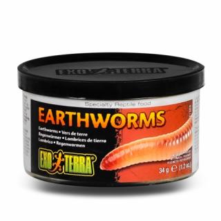 Exo Terra Earthworms - žížaly 34g