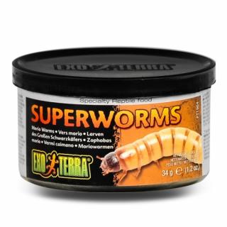 Exo Terra Superworms - červi Zophobas 34g