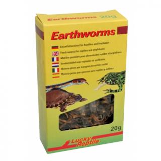 Lucky Reptile Earthworms 10g