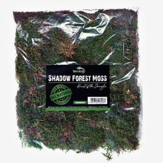 Terrario Shadow Forest Moss - mech přírodní 35x30 cm