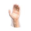 PE rukavice nepudrované transparent L (univerzální), 100ks