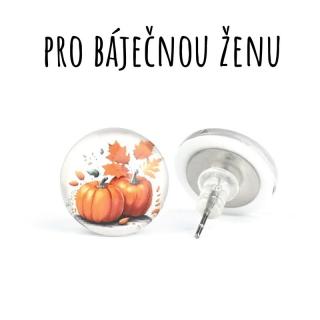 Dýně skleněné náušnice pecky 10 mm