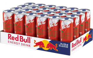 Red Bull The Red Edition Meloun 24x250 ml-VÝHODNÉ BALENÍ