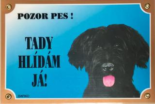 Barevná cedulka Pozor pes Briard černý