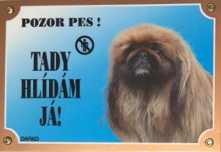 Barevná cedulka Pozor pes Pekinéz