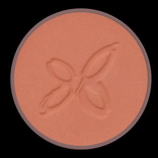 BOHO Green Make-Up Tvářenka 4,5 g BIO Odstín: 01 Bois de Rose