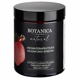 BOTANICA SLAVICA Ručně odlévaná sójová svíčka 9 DIVŮ PLODŮ 210 ml