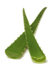Aloe vera šťáva 99% 100ml: 100ml