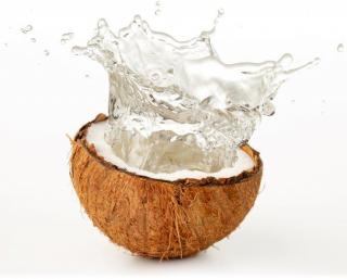 Coconut hydroextract 100ml