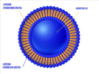 Coenzyme Q10 v liposomu 10g