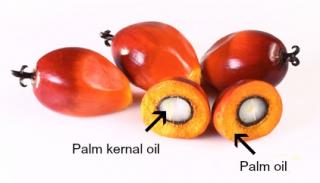 Palmový olej RSPO 1000ml: 1000ml