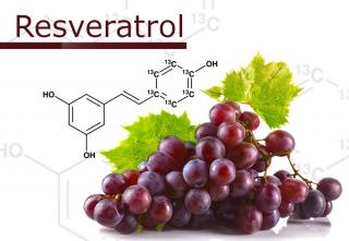 Resveratrol 10g