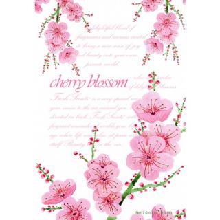 Willowbrook Vonný sáček Cherry Blossoms (třešňový květ), 115 ml