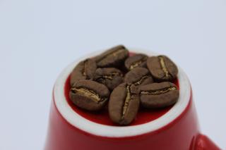 Honduras SHG EP Finca Cerro Azul (250g) French press