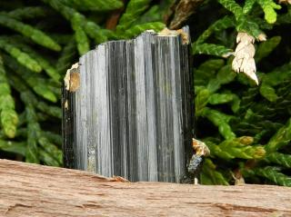 Krásně lesklý špalík černého turmalínu zdobený albitem a muskovitem