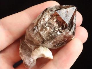 Krystal záhnědy s žezlovým růstem - Dolní Bory - Hatě