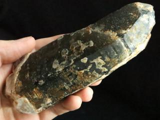 Oboustranný průsvitný krystal morionu s délkou 15 centimetrů