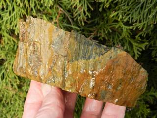 Zkamenělé dřevo z Líně u Plzně - větší vzorek