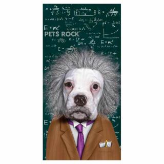 Ručník pes Einstein barevný polyester 150x75 cm