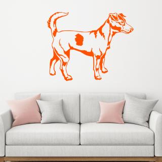 Samolepka Jack Russell Terrier Barva: oranžová, Velikost: 100 x 80 cm