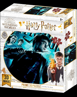 3D Puzzle Harry Potter - Harry, Hermiona a Ron: Brumbálova armáda (61 x 46 cm)