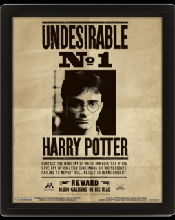 Lentikulární 3D obraz: Harry Potter a Sirius Black (28 x 23 cm)